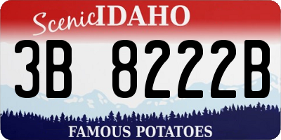 ID license plate 3B8222B