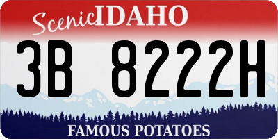ID license plate 3B8222H