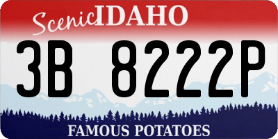 ID license plate 3B8222P