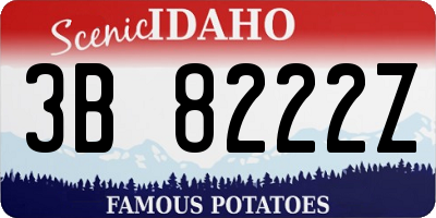 ID license plate 3B8222Z