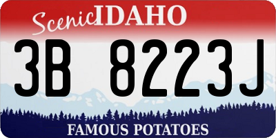 ID license plate 3B8223J