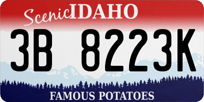 ID license plate 3B8223K