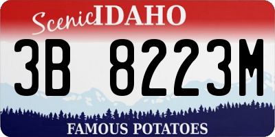 ID license plate 3B8223M