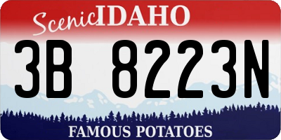 ID license plate 3B8223N