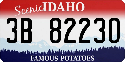 ID license plate 3B8223O