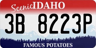ID license plate 3B8223P