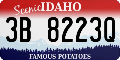 ID license plate 3B8223Q