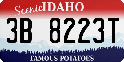 ID license plate 3B8223T