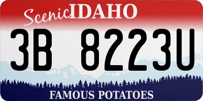 ID license plate 3B8223U