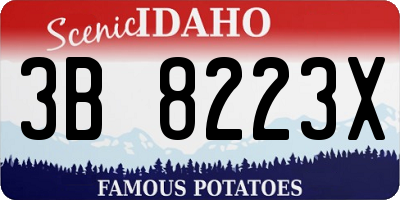ID license plate 3B8223X