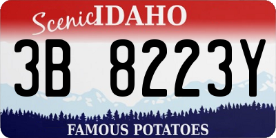 ID license plate 3B8223Y