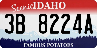 ID license plate 3B8224A