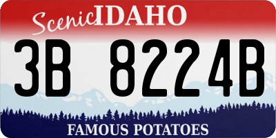 ID license plate 3B8224B