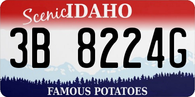 ID license plate 3B8224G