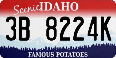 ID license plate 3B8224K