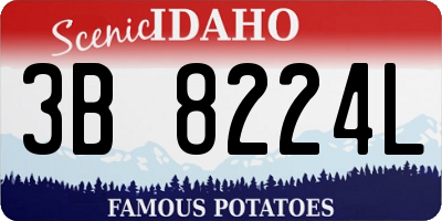 ID license plate 3B8224L