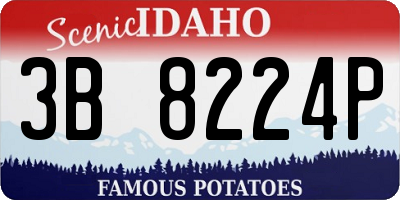 ID license plate 3B8224P