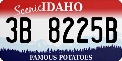 ID license plate 3B8225B