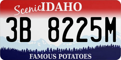 ID license plate 3B8225M