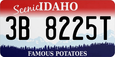 ID license plate 3B8225T