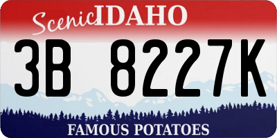 ID license plate 3B8227K