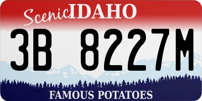 ID license plate 3B8227M