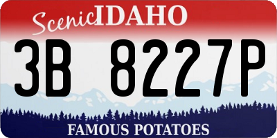 ID license plate 3B8227P