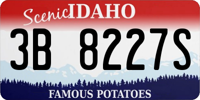 ID license plate 3B8227S