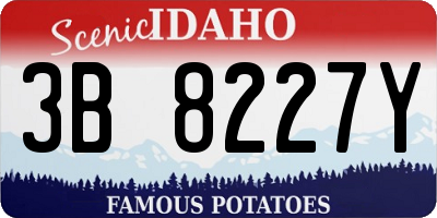 ID license plate 3B8227Y