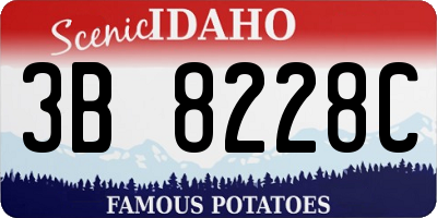 ID license plate 3B8228C