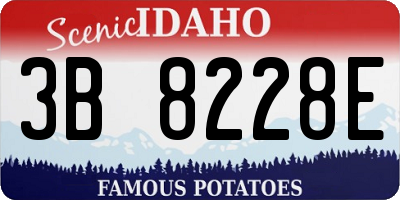 ID license plate 3B8228E