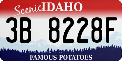 ID license plate 3B8228F