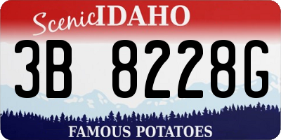 ID license plate 3B8228G