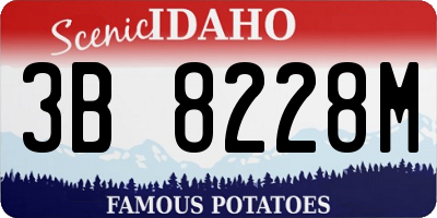 ID license plate 3B8228M