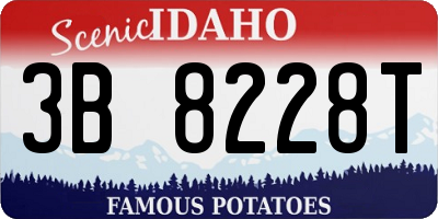 ID license plate 3B8228T
