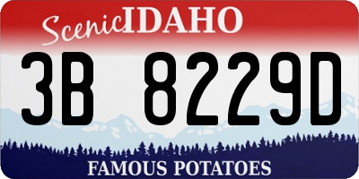 ID license plate 3B8229D