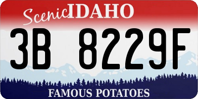 ID license plate 3B8229F