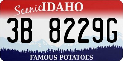 ID license plate 3B8229G