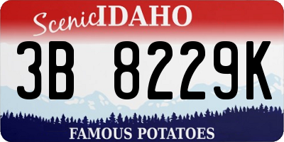 ID license plate 3B8229K