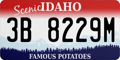 ID license plate 3B8229M