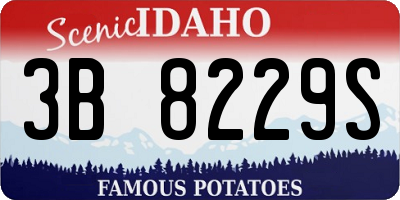 ID license plate 3B8229S