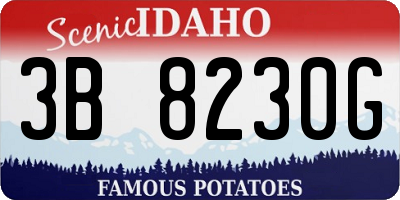ID license plate 3B8230G
