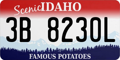 ID license plate 3B8230L