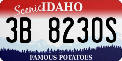 ID license plate 3B8230S