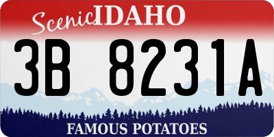 ID license plate 3B8231A