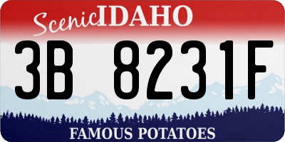 ID license plate 3B8231F