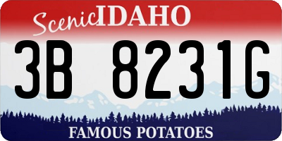 ID license plate 3B8231G