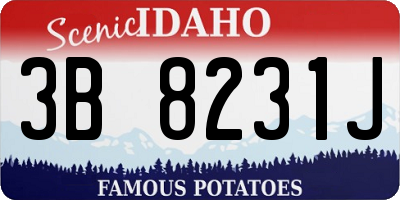 ID license plate 3B8231J