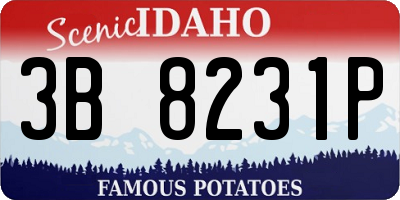 ID license plate 3B8231P