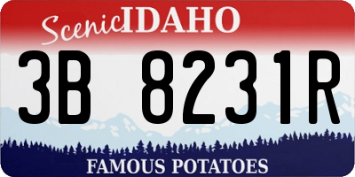 ID license plate 3B8231R